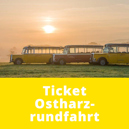 Ostharz Rundfahrt 29.04.2025