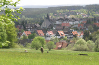 Westharz-Rundfahrt 01.10.26